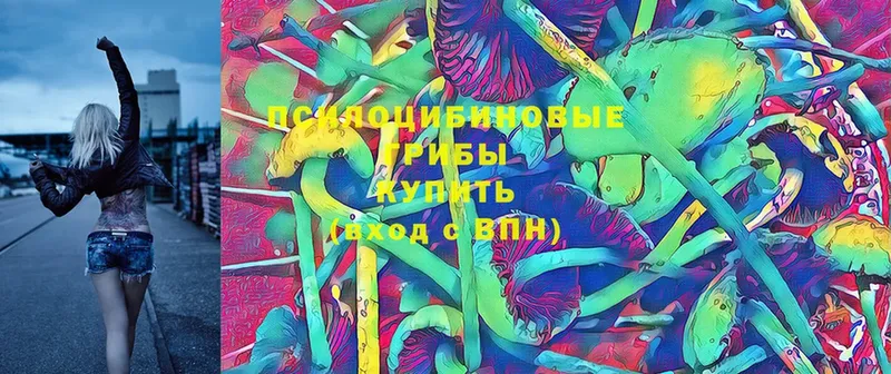 Галлюциногенные грибы MAGIC MUSHROOMS  hydra сайт  Урюпинск  цена  